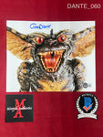 DANTE_060 - 8x10 Photo Autographed By Joe Dante