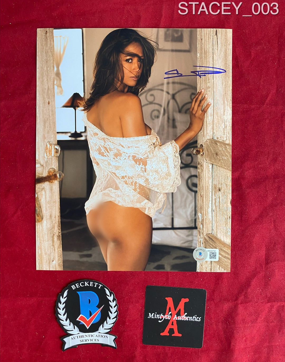 Stacey Dash Autographs – Tagged 